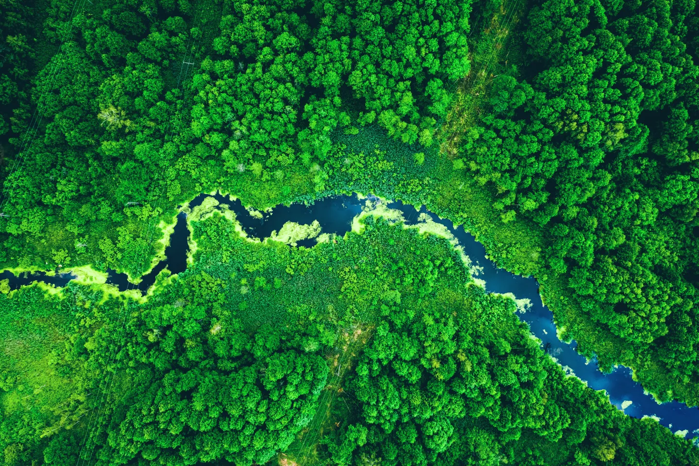 River image